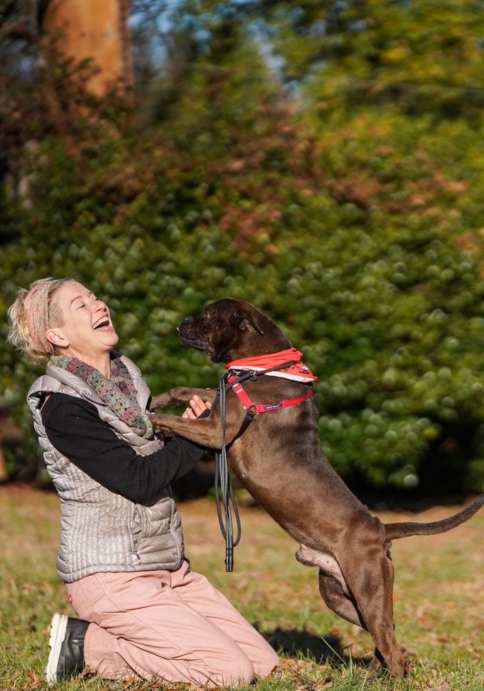 Professional trainer Shannon Morrow and dog Sweeper enjoy a training session at Catawba Meadows park