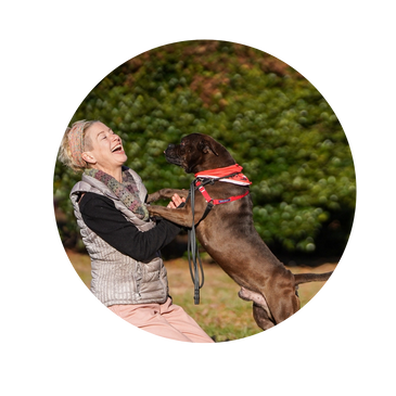 Positive Reinforcement Dog trainer Shannon Morrow plays with a dog during a training session