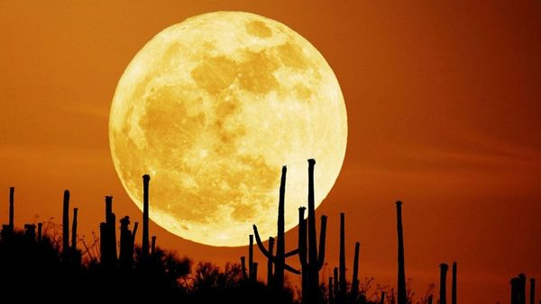 does the full moon make people insane?  