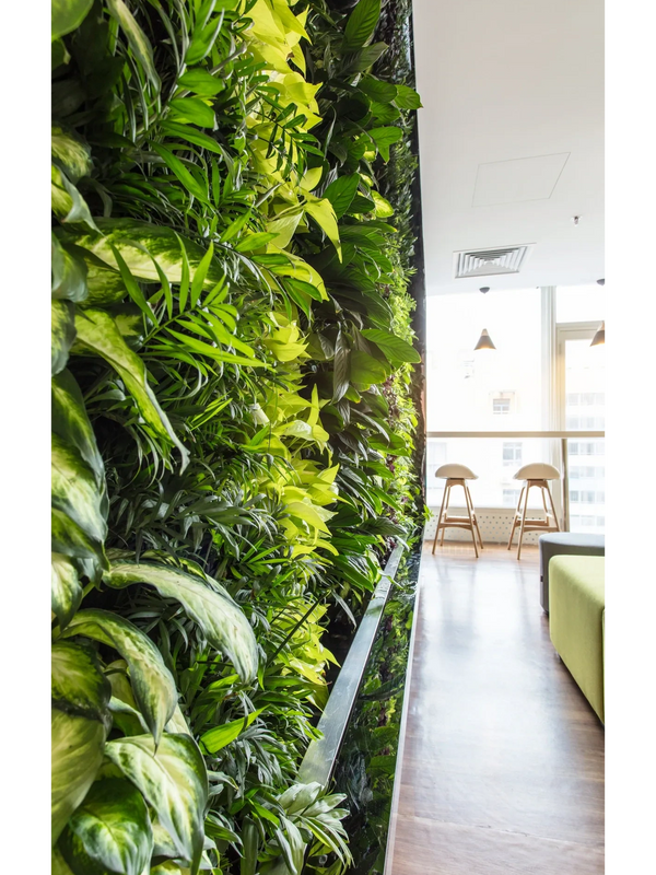Expert indoor plant design, service & maintenance in Los Angeles since 1980
