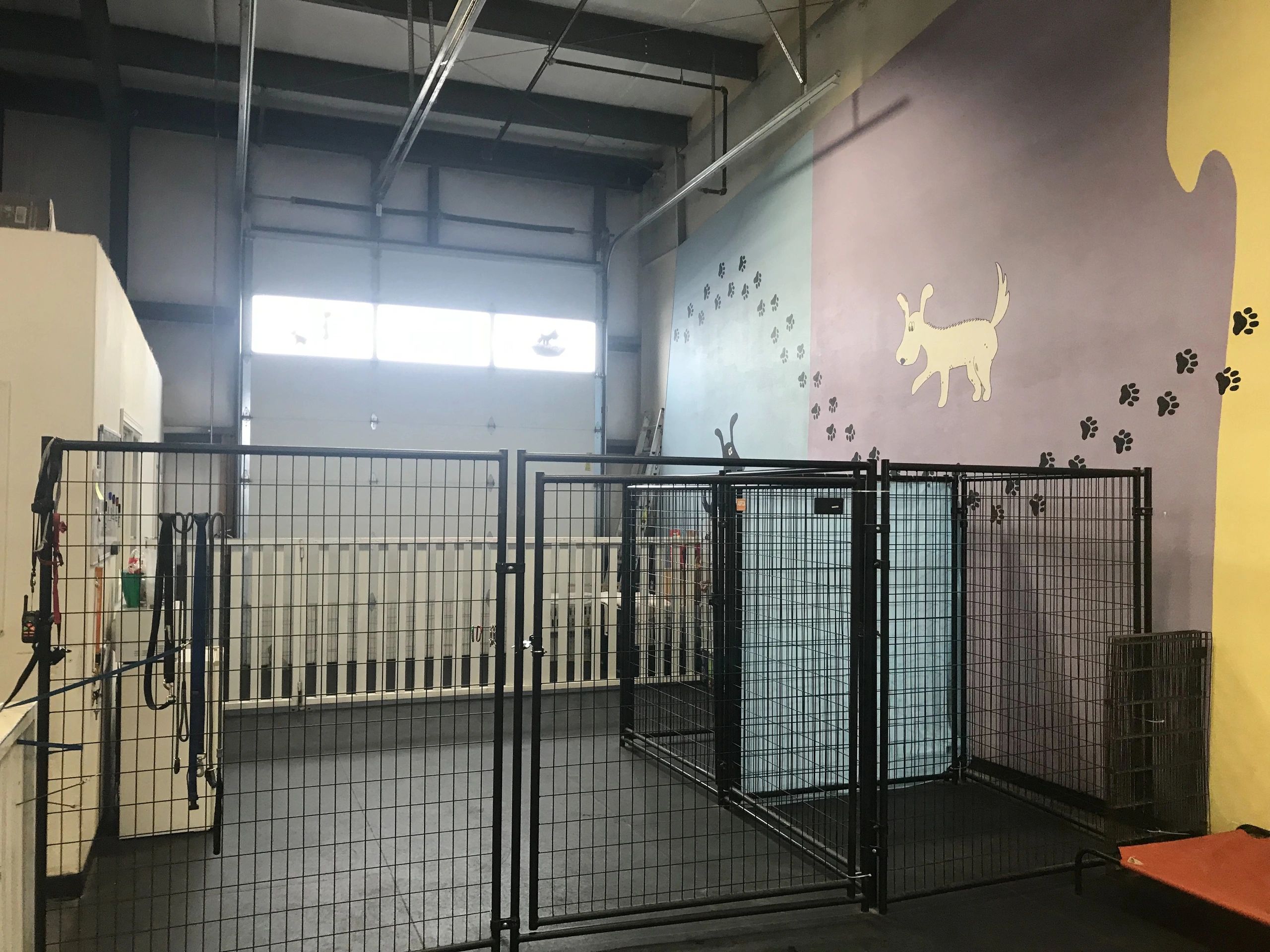 Staging area for dog and puppies acclimating to new dog day care experience

