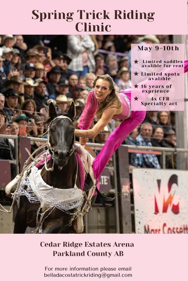 Woman in pink performing trick riding on a horse at a crowded arena.