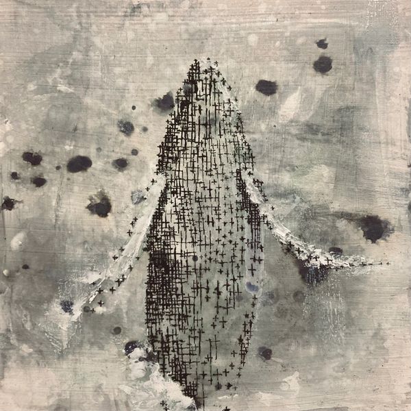 Study I - Whale
