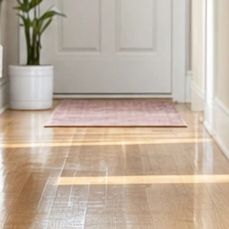 Sunlight reflects on a wooden floor with a plant and a rug near a white door.