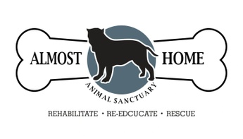 Almost home best sale adoption