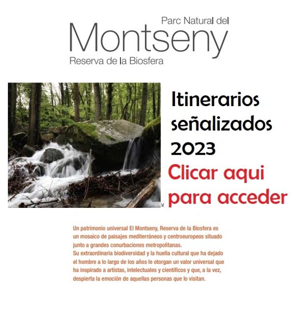 Itinerarios actualizados