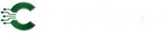 C r y p t S y n c
