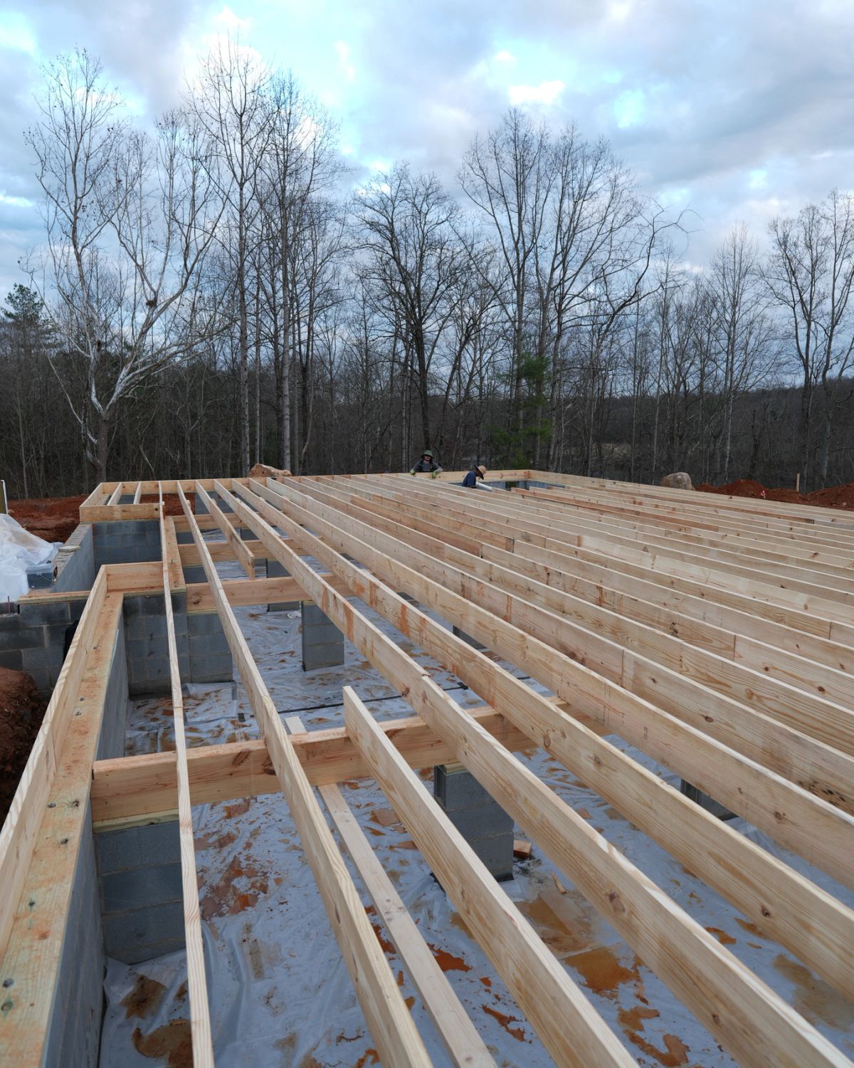 Floor joists set over a block foundation on red clay, bare winter trees behind