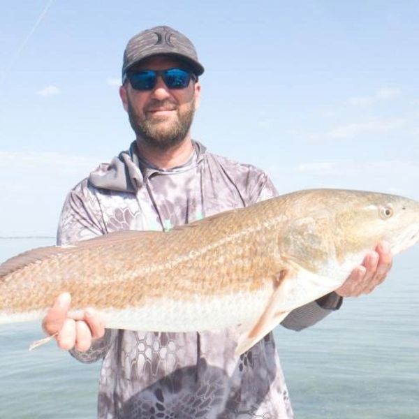 boat tours of tampa bay