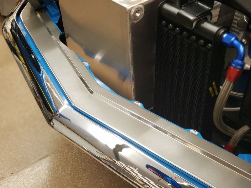 Front lower grill moulding