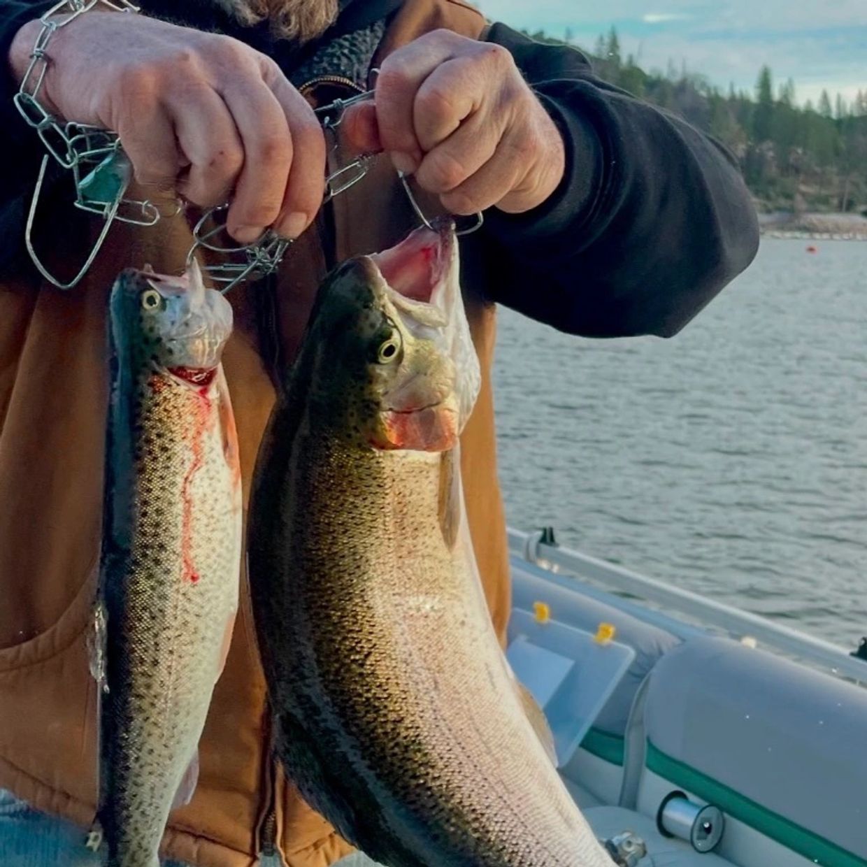 Man holding two large fish by their mouths.