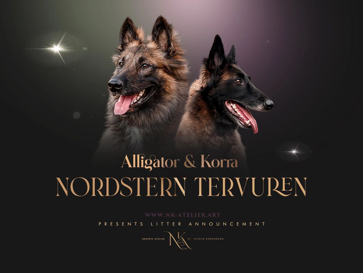 Working Tervuren