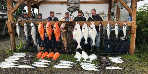 fishermen with multi species fish of salmon, rockfish, halibut, yelloweye
