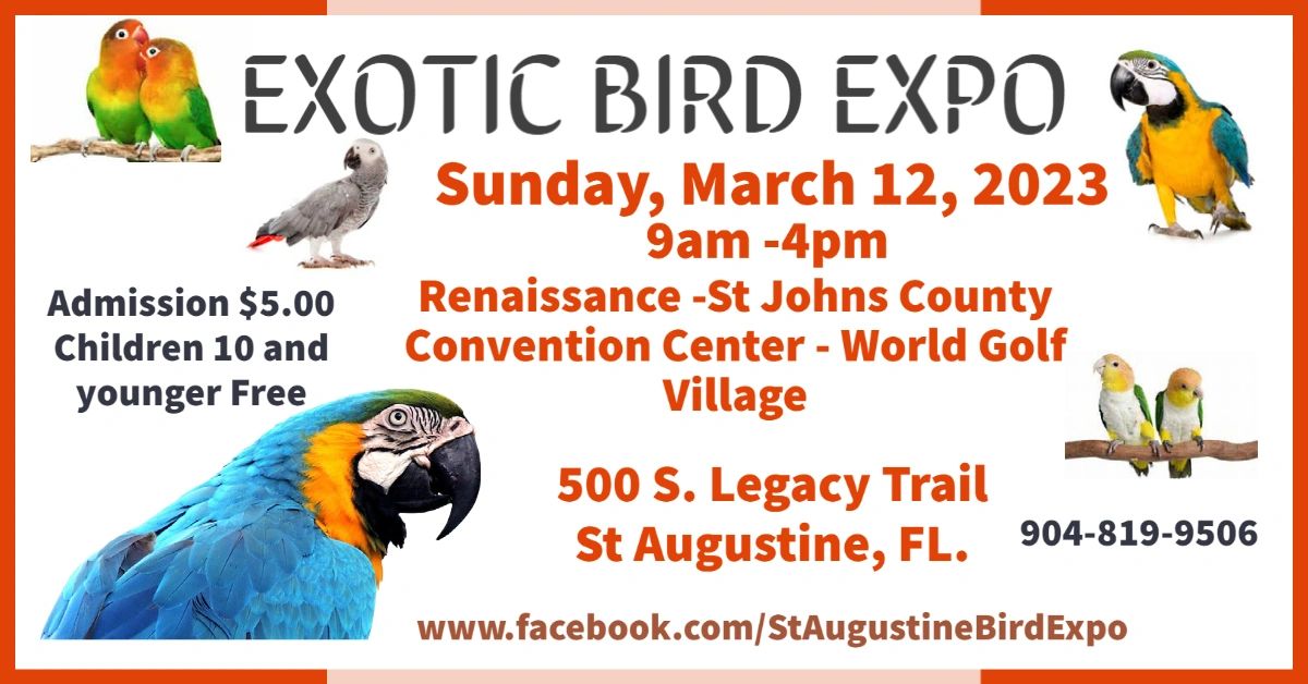 Saint Augustine Bird Expo