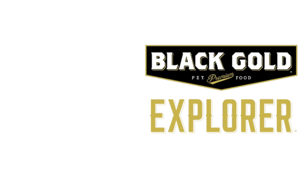 Black Gold Explorer - Premium Pet Food