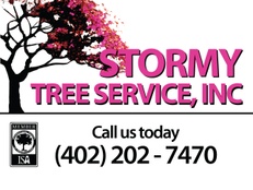 Stormy Tree Service Inc