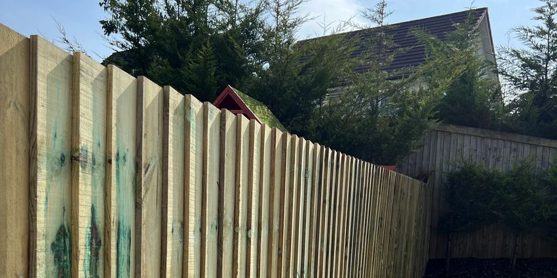 Featheredge fencing