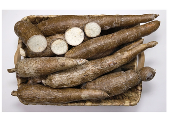 Yuca