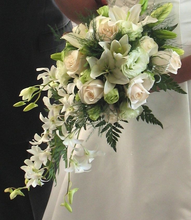 Anne's Bridal & Tux - Bridal, Wedding Dresses, Tuxedo, Bridal