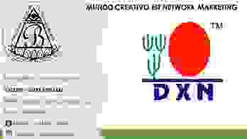  Mundo Creativo De NETWORK marketing