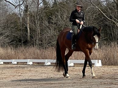 Person riding a brown horse in an outdoor area with trees.