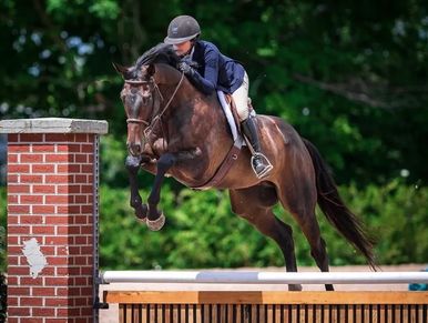 Equestrian rider and horse jumping over an obstacle outdoors.
