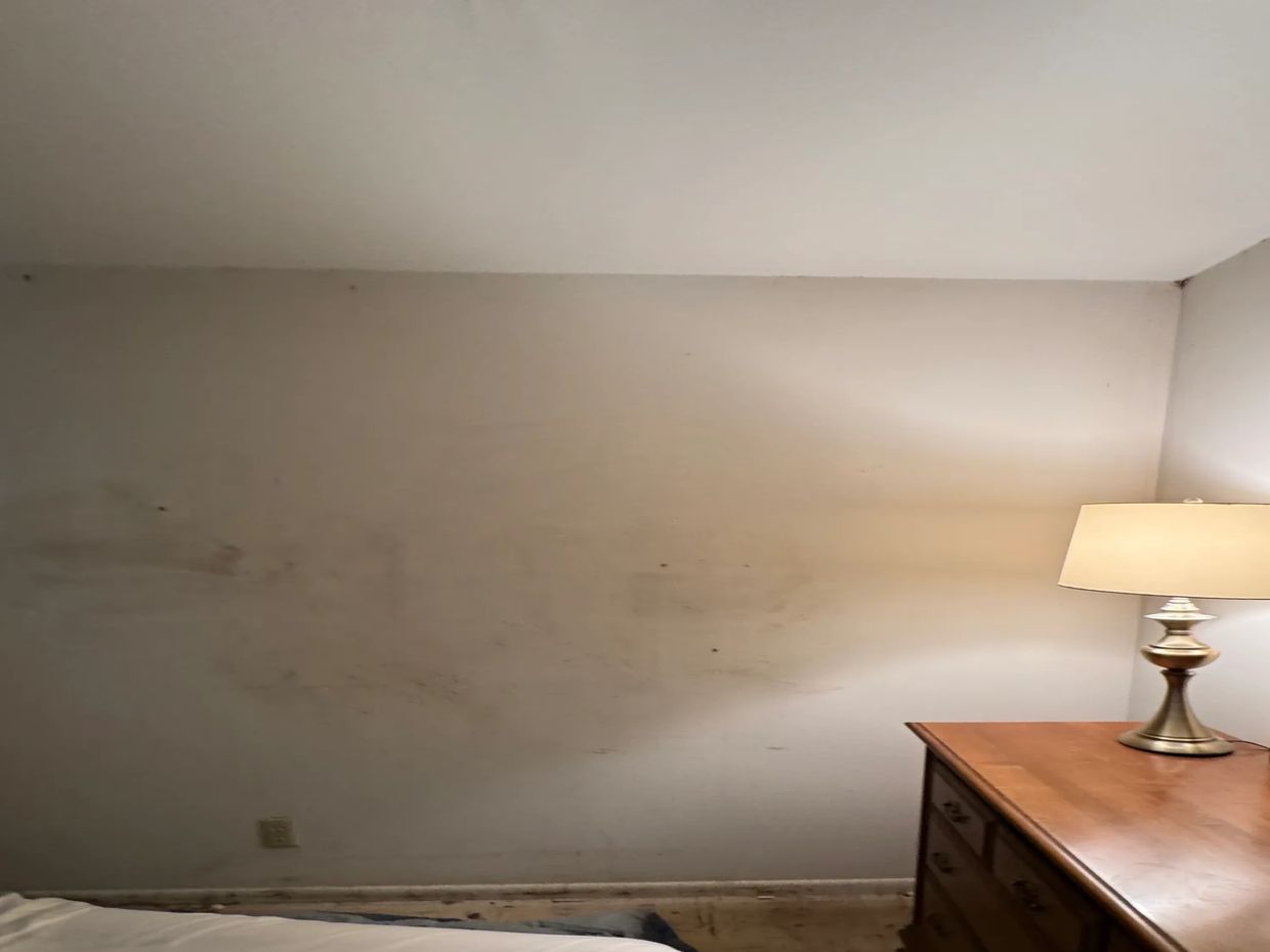 Image showing a post-bed bug infestation wall clean-up. The wall be scrubbed with disinfectant empha