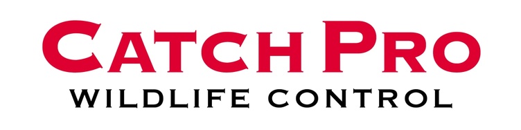 CatchPro Wildlife Control