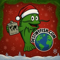 Destiny Fish