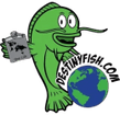 Destiny Fish