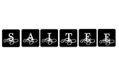 SAITEE LLC