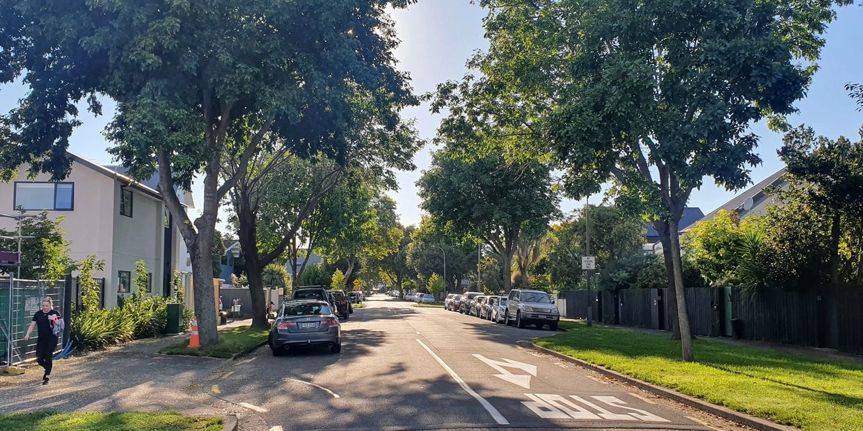 A sunny residential street lined with trees and parked cars.
