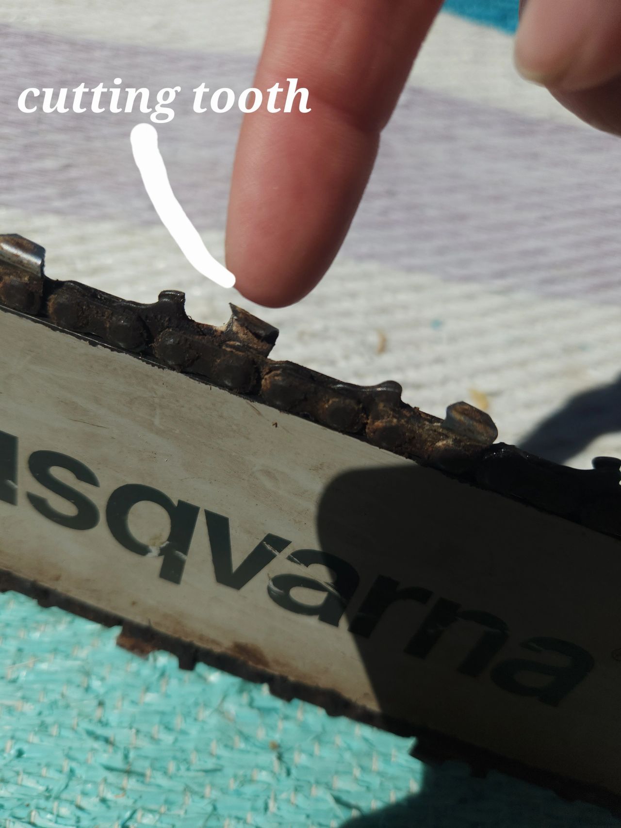 cutting tooth cutting tooth
