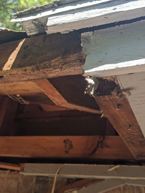 Water damage from overloaded and clogged gutters