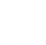 Witty Hair Concept 