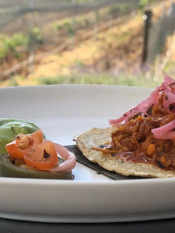 Viñedo La Revuelta Tequisquiapan Vinos  Restaurante Maridajes Quesos Espumosos Tintos