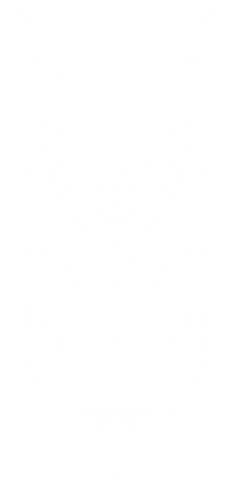 Kuduowl Logo