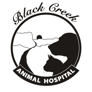 Black Creek Animal Hospital