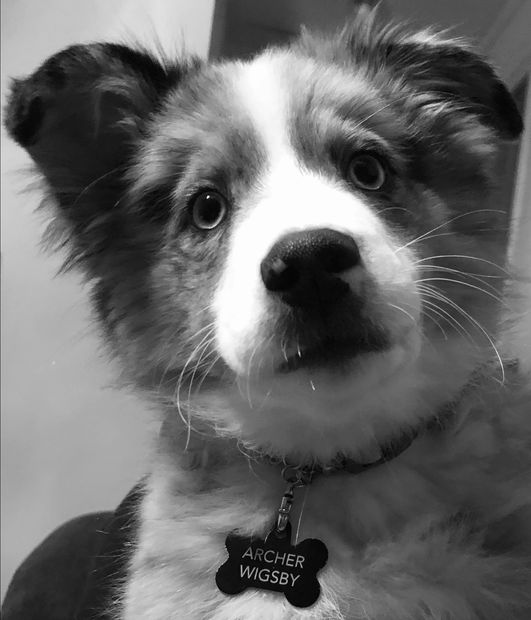 Archer Wigsby, James Graye, buysellroc, realtor, Rochester, NY