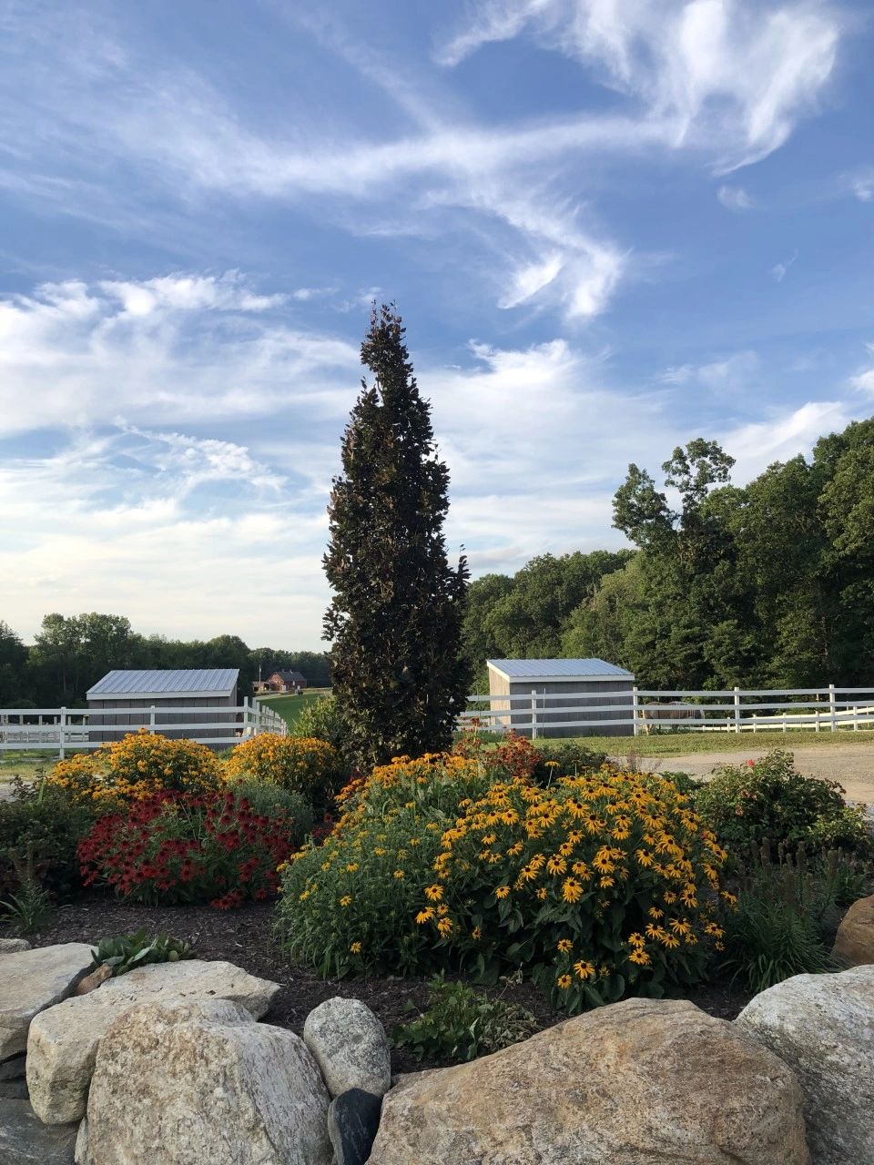 English Horseback Riding Lessons, Dressage Horseback Riding Lessons