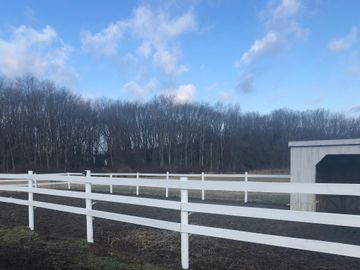 horse stall, equestrian, farm, boarding, paddock, horseback riding, training, indoor, arena, trails