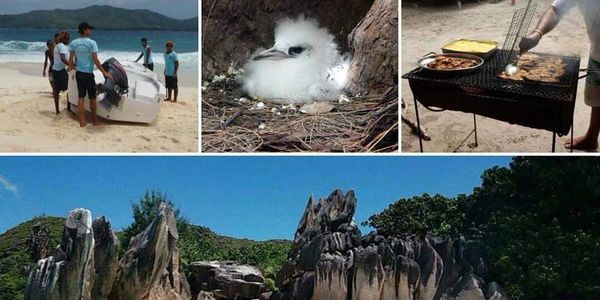 Excursion d'une journée Cousin, Curieuse et St Pierre au départ de Praslin