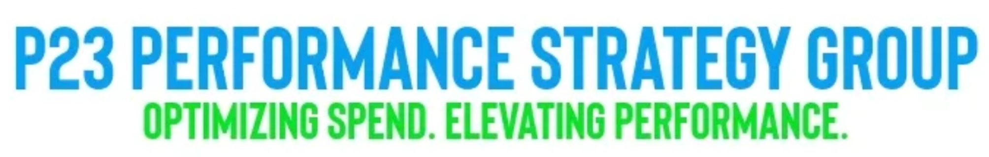P23 Performance Strategy Group