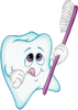 Craig Droskin DDS