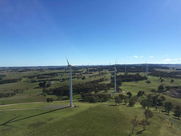 Wind turbines spread across a green landscape under a clear blue sky.