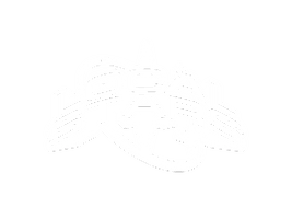 LOCAL STARS