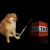 TNT_addict