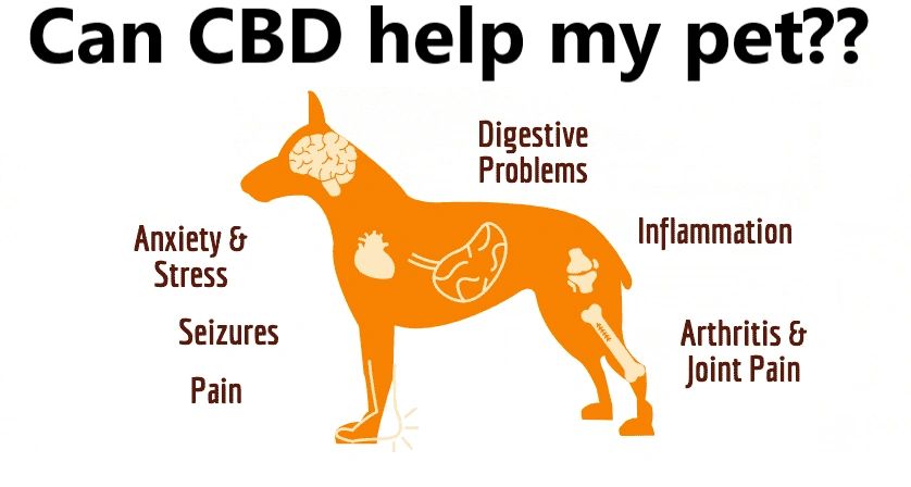 Petaboutit Boutique Cbd Pet Anxiety Stress