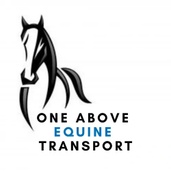 One Above Equine Transport