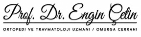 Prof. Dr. Engin Çetin 